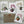 Load image into Gallery viewer, Orchid cards set of 4