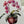 Load image into Gallery viewer, Orchid cards set of 4