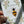 Load image into Gallery viewer, Daisy and Bee - Congratulations/Thank you/Happy Birthday/Thinking of you/Happy Anniversary Card