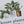 Load and play video in Gallery viewer, HOUSE PLANTS Collection Writing Paper Set (Non-Personalised)