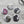 Load and play video in Gallery viewer, AUSTRALIAN BIRDS Large Magnets