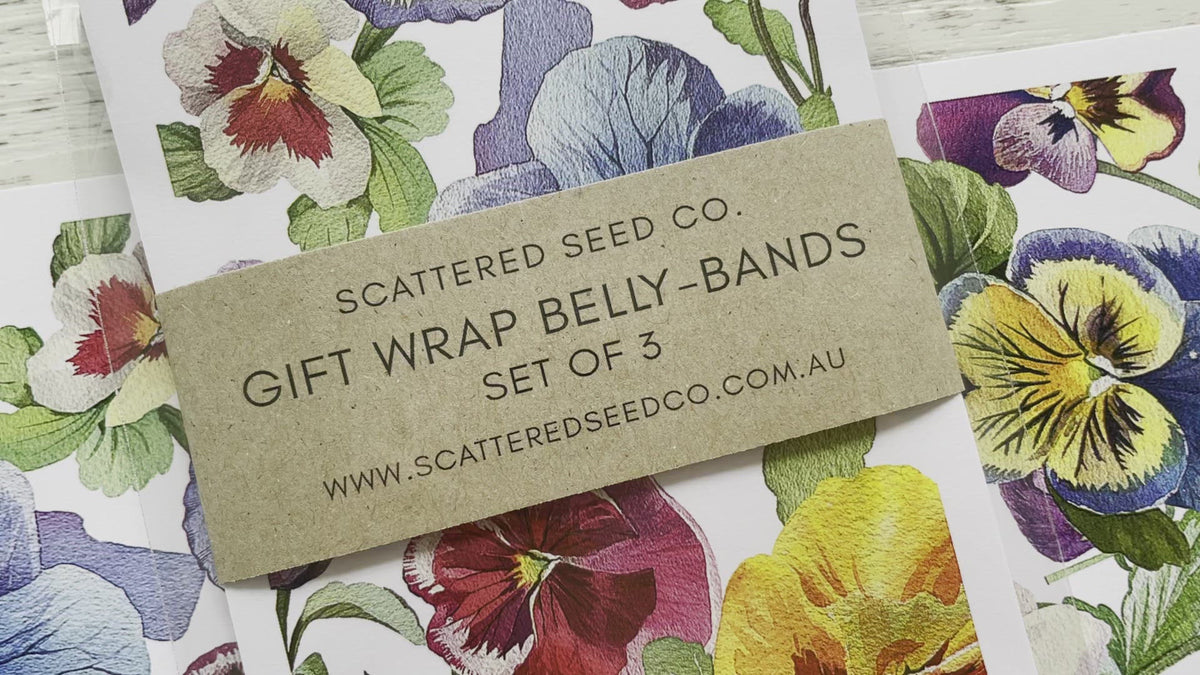 PANSY Gift Wrap BellyBands Scattered Seed Co