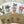 Load image into Gallery viewer, POTTED PLANTS cards set of 4
