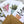 Load image into Gallery viewer, POTTED PLANTS cards set of 4