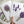 Load image into Gallery viewer, FRENCH LAVENDER Card Set of 4