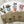 Load image into Gallery viewer, POTTED PLANTS cards set of 4