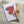 Load image into Gallery viewer, AUSTRALIAN NATIVE FLORA cards set of 4