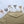 Load image into Gallery viewer, FOREST FRIENDS Writing Paper Set (Non-Personalised) LEAVES