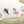 Load image into Gallery viewer, AUSTRALIAN BIRDS Personalised Writing Paper Set of 20