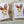 Load image into Gallery viewer, AUSTRALIAN ANIMAL Birthday or Blank Cards set of 4