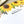 Load image into Gallery viewer, SUNFLOWERS Personalised Flat Notecards Set Of 10