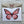 Load image into Gallery viewer, BUTTERFLIES cards set of 4