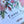 Load image into Gallery viewer, AUSTRALIAN NATIVE FLORA Thank You Cards