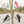 Load image into Gallery viewer, AUSTRALIAN BIRDS Personalised Flat Notecards Set Of 10