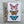 Load image into Gallery viewer, BUTTERFLIES cards set of 4