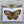 Load image into Gallery viewer, BUTTERFLIES cards set of 4