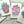 Load image into Gallery viewer, SUCCULENTS cards set of 4