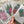 Load image into Gallery viewer, SUCCULENTS cards set of 4