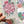 Load image into Gallery viewer, SUCCULENTS cards set of 4