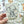 Load image into Gallery viewer, JUNGLE FRIENDS Blank Cards Regular OR Mini Size