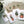 Load image into Gallery viewer, POTTED PLANTS Collection 2 cards set of 4