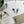 Load image into Gallery viewer, COCKATIEL Writing Paper Set (Non-Personalised)
