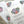 Load image into Gallery viewer, SUCCULENTS Writing Paper Set (Non-Personalised)