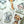 Load image into Gallery viewer, JUNGLE FRIENDS Blank Cards Regular OR Mini Size