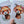 Load image into Gallery viewer, RED PANDA Personalised Birthday or Blank card