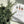 Load image into Gallery viewer, POTTED PLANTS Collection 2 Writing Paper Set (Non-Personalised)