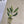 Load image into Gallery viewer, POTTED PLANTS COLLECTION 1 Personalised Writing Paper Set of 20
