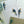 Load image into Gallery viewer, COCKATIEL Writing Paper Set (Non-Personalised)