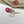 Load image into Gallery viewer, PROTEA COLLECTION Personalised Writing Paper Set of 20