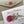 Load image into Gallery viewer, PROTEA Personalised Christmas Cards