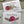 Load image into Gallery viewer, PROTEA Personalised Christmas Cards