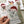 Load image into Gallery viewer, AUSTRALIAN ANIMAL Personalised Christmas Cards