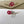 Load image into Gallery viewer, PROTEA COLLECTION Personalised Writing Paper Set of 20