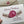 Load image into Gallery viewer, PROTEA Personalised Christmas Cards