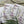 Load image into Gallery viewer, WISTERIA cards - Thank you - With Love - Congrats - Happy Birthday
