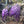 Load image into Gallery viewer, WISTERIA Writing Paper Set (Non-Personalised)
