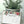 Load image into Gallery viewer, AUSTRALIAN NATIVE FLORA - Thank You - Flat Notecards Set Of 10