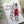 Load image into Gallery viewer, AUSTRALIAN CALLISTEMON Christmas Cards