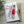 Load image into Gallery viewer, AUSTRALIAN CALLISTEMON Christmas Cards