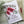 Load image into Gallery viewer, AUSTRALIAN CALLISTEMON PERSONALISED Christmas Cards