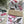 Load image into Gallery viewer, AUSTRALIAN BIRDS Christmas Gift Wrap Belly-Bands