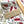 Load image into Gallery viewer, AUSTRALIAN CALLISTEMON Gift Wrap Belly-Bands