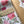 Load image into Gallery viewer, AUSTRALIAN WARATAH / PROTEA Christmas Gift Wrap Belly-Bands