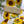 Load image into Gallery viewer, SUNFLOWERS COLLECTION Gift Wrap Belly-Bands