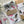 Load image into Gallery viewer, AUSTRALIAN BIRDS Gift Wrap Belly-Bands