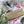 Load image into Gallery viewer, AUSTRALIAN BIRDS Gift Wrap Belly-Bands